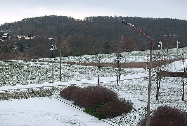 Bild: Schneemangel Sondershausen