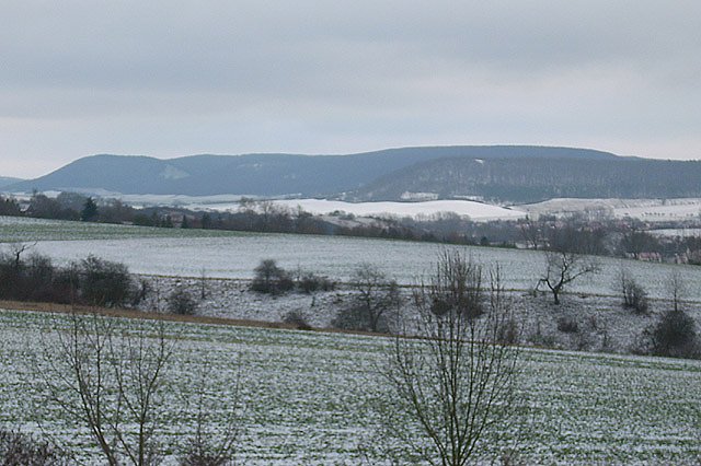 Bild: Schneemangel Sondershausen