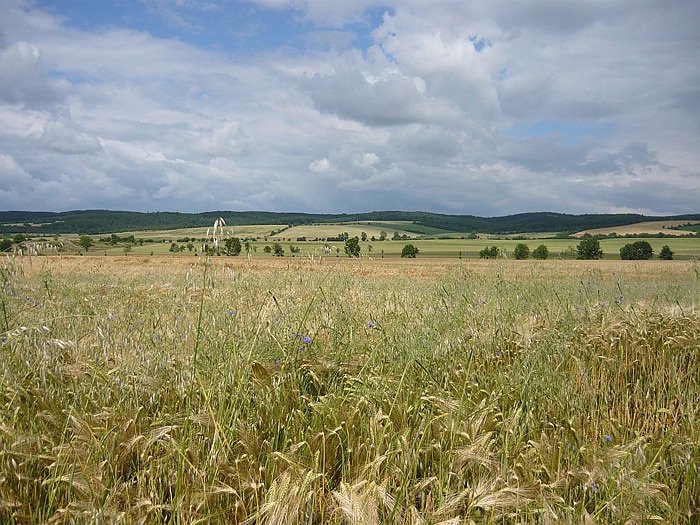 Bild: Kulinarische Radtour