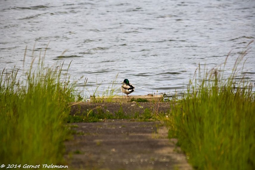 Bild: Wetterbild