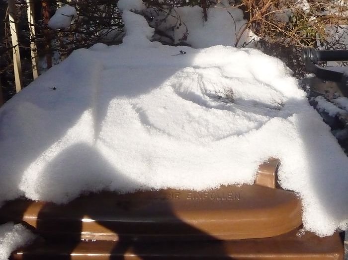 Bild: Frost in der Tonne
