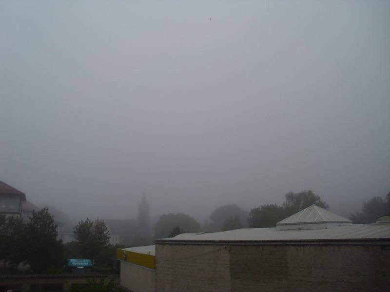 Bild: Ist denn schon Herbst?