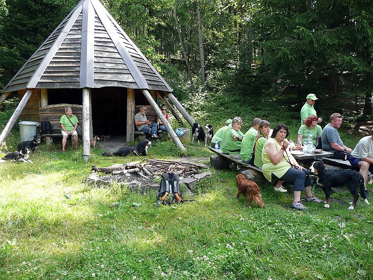 Bild: 4 Pfoten Hundeclub