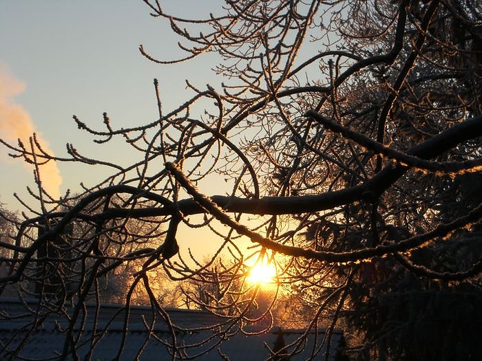 Bild: Winter bei LIFT