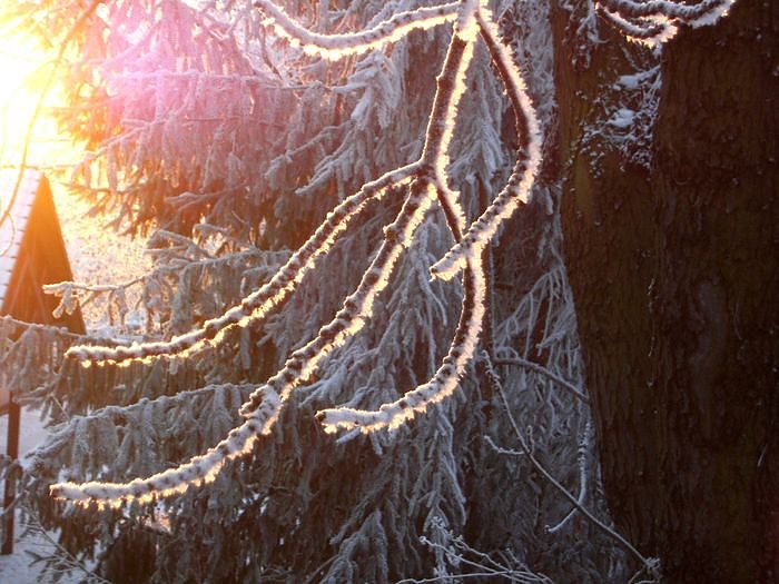 Bild: Winter bei LIFT