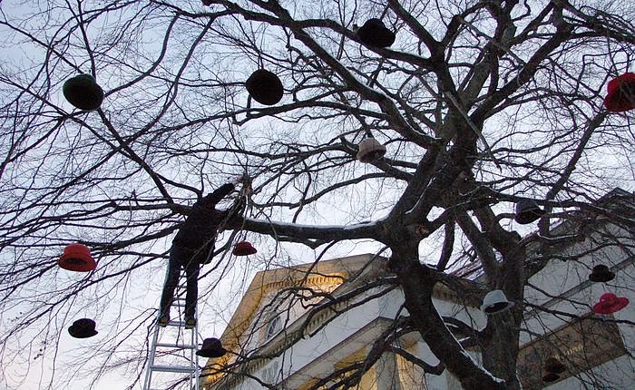 Bild: Hut am Baum