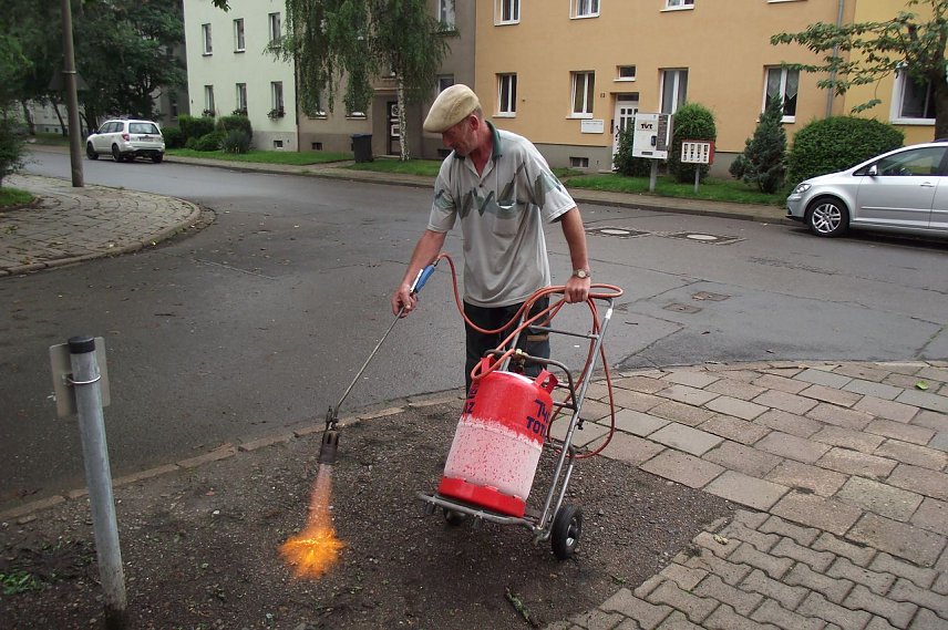 Bild: Selbst ist der Mann