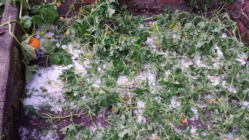 Bild: Hagel