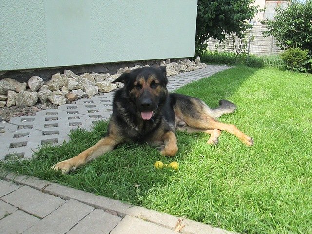 Bild: Rocky