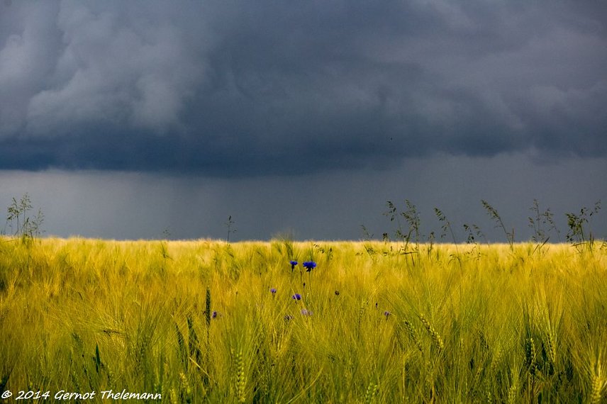 Bild: Wetter-Bild