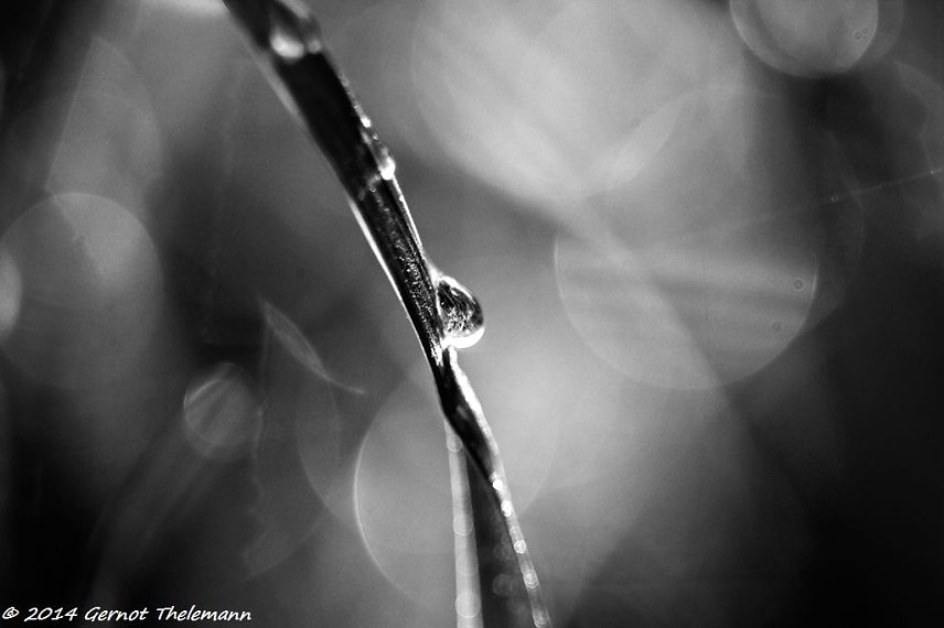 Bild: Wetter-Bild