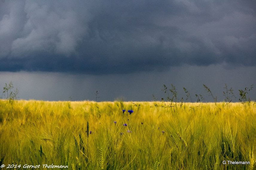 Bild: Wetter-Bild