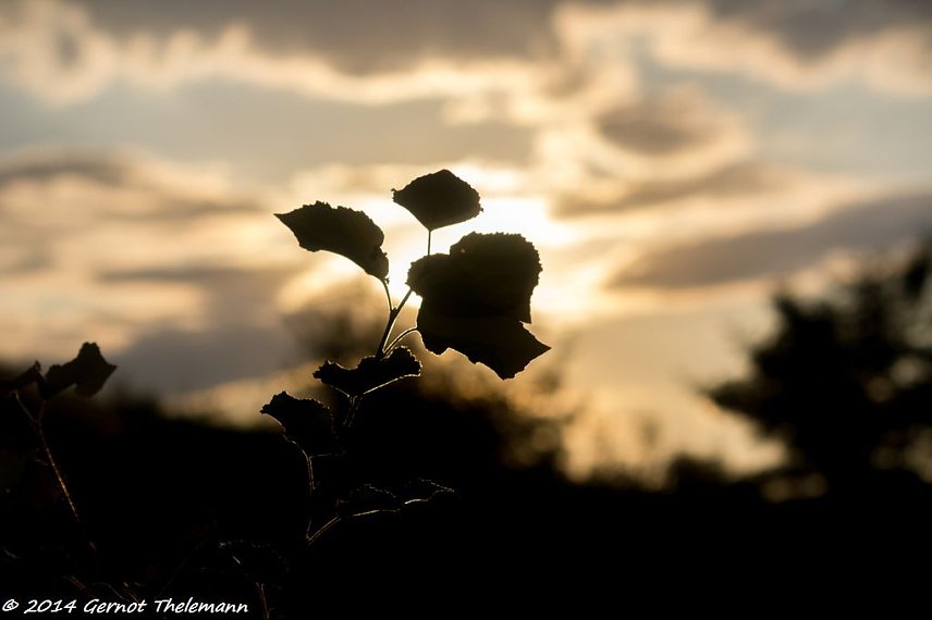 Bild: Wetter-Bild
