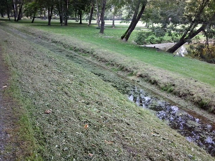 Bild: Schlechtes Wasser wegen Grasmahd?