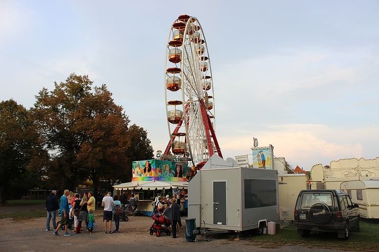 Bild: Impressionen vom Bauernmarkt