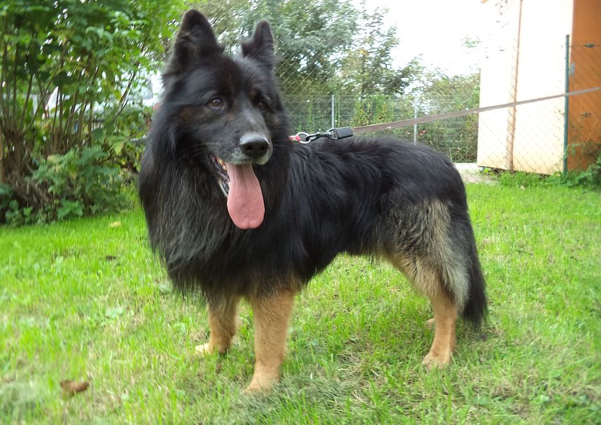 Bild: Jack