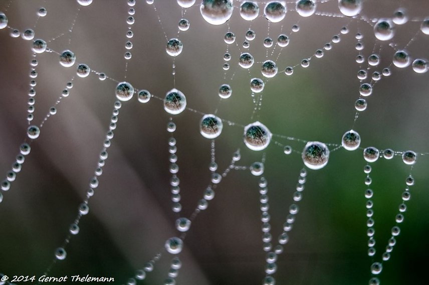 Bild: Wetter-Bild