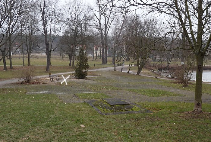 Bild: Baumf&auml;llen am Parkteich
