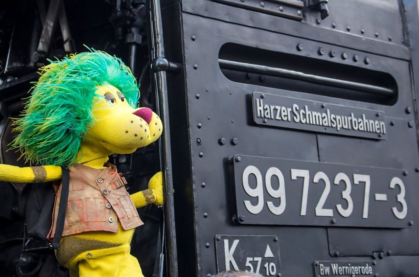 Bild: L&ouml;we OLI auf Erkundungstour mit der HSB