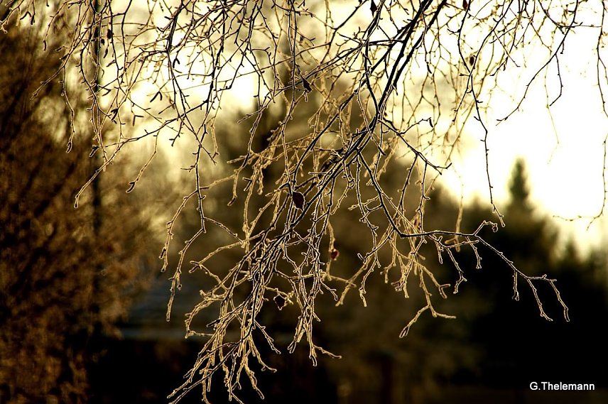 Bild: Wetter-Bild