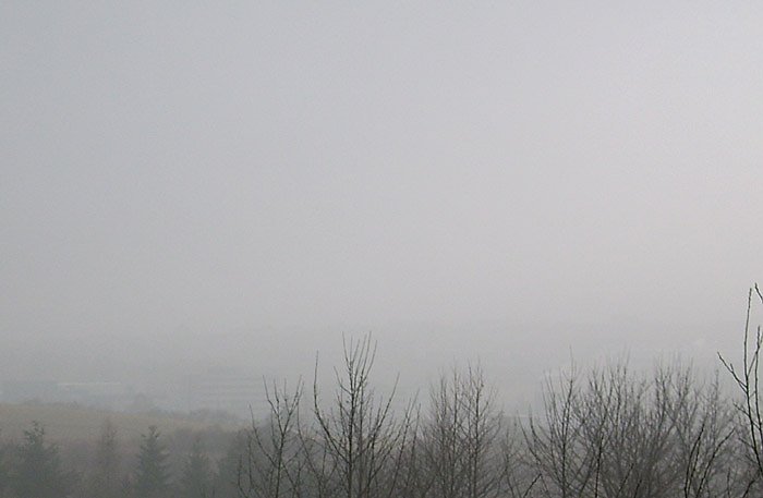 Bild: Nebel im Wippertal