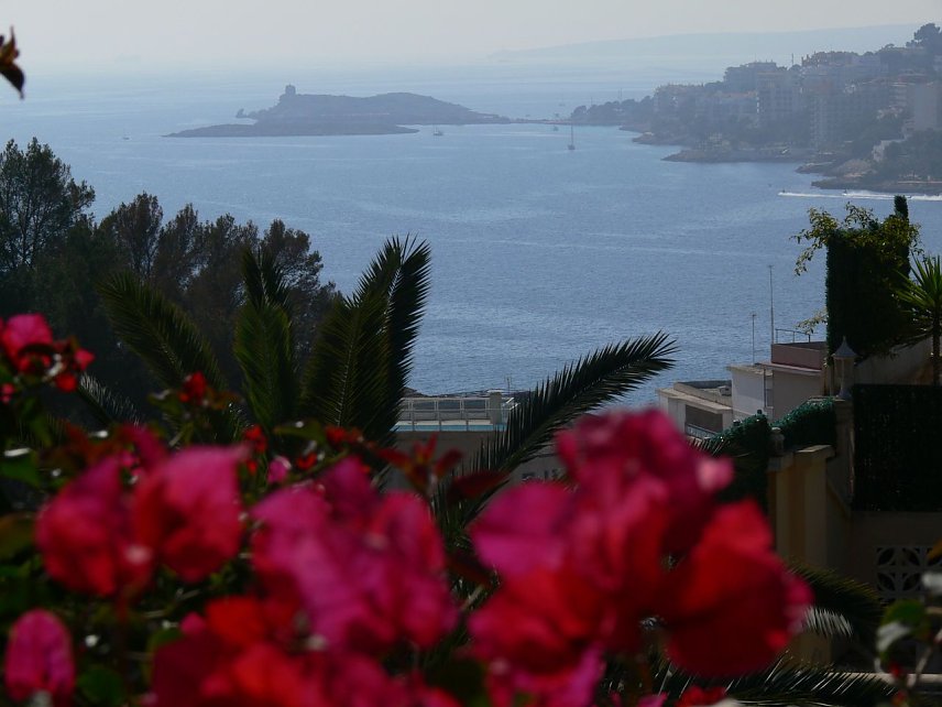 Bild: Unterwegs auf Mallorca