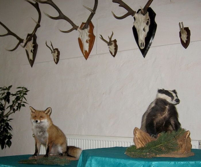 Bild: Neue Ausstellung