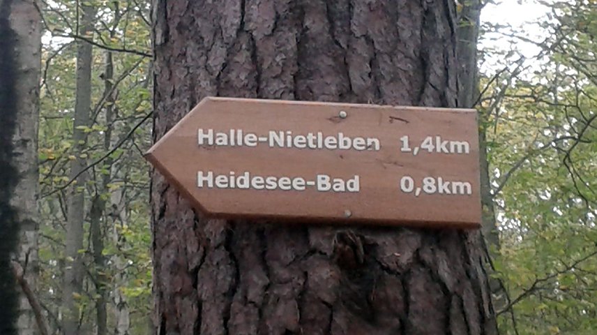 Bild: 100 Kilometer "am St&uuml;ck"