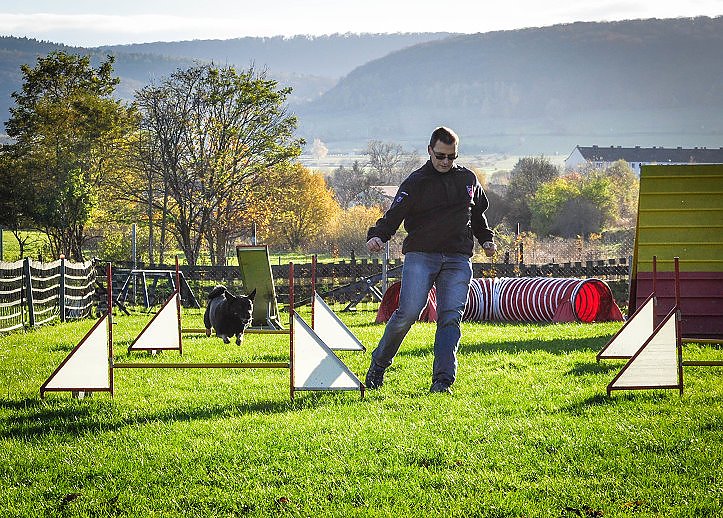 Bild: Agility Fun-Turnier in der Hundeschule ABC