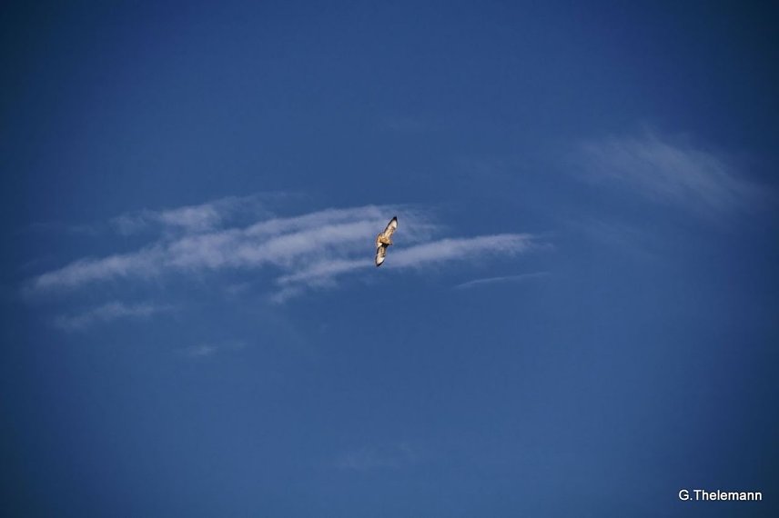 Bild: Wetter-Bild