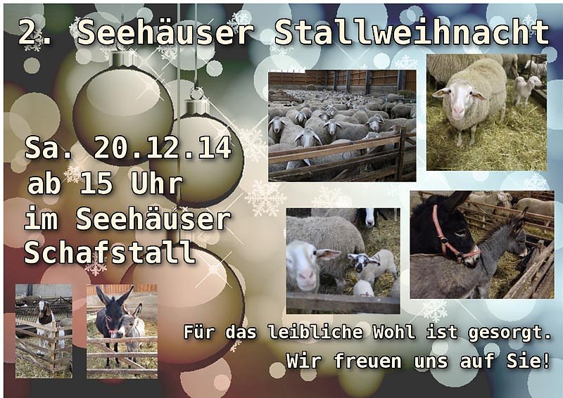 Bild: 2. Seeh&auml;user Stallweihnacht
