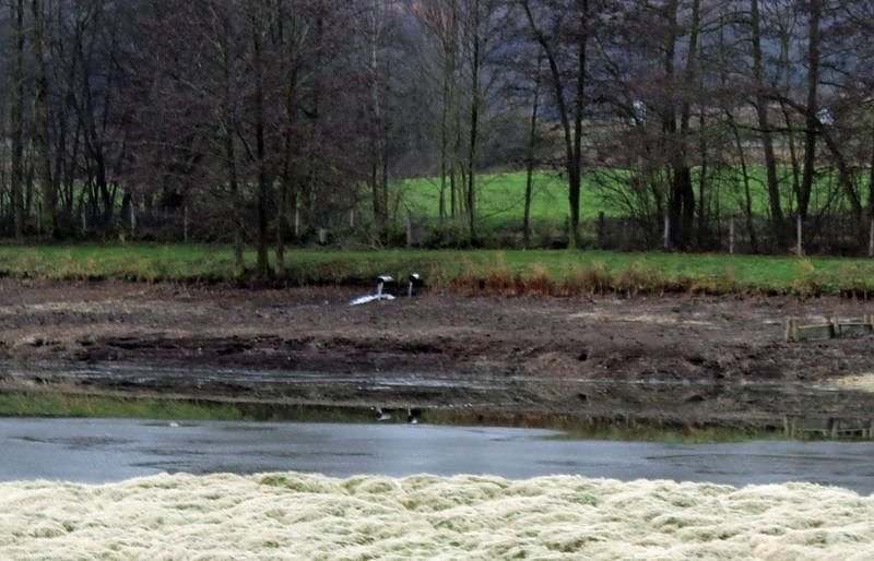 Bild: Premiere am Bebraer Teich
