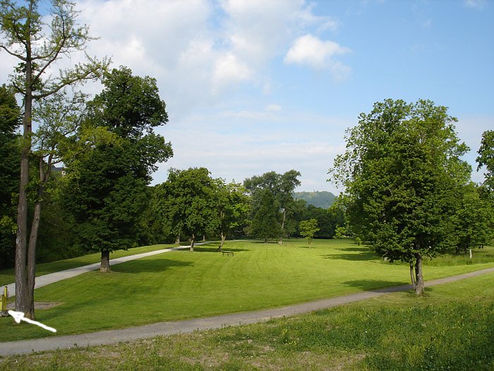 Bild: Schlosspark Sondershausen