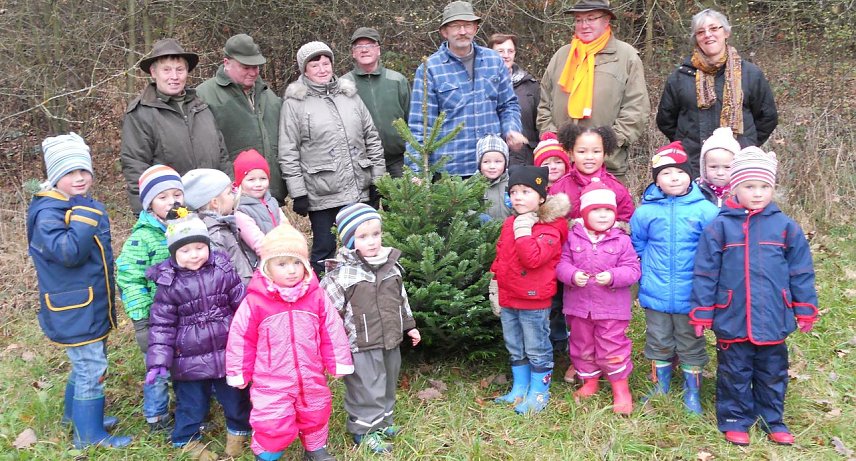 Bild: Baum "geschlagen"