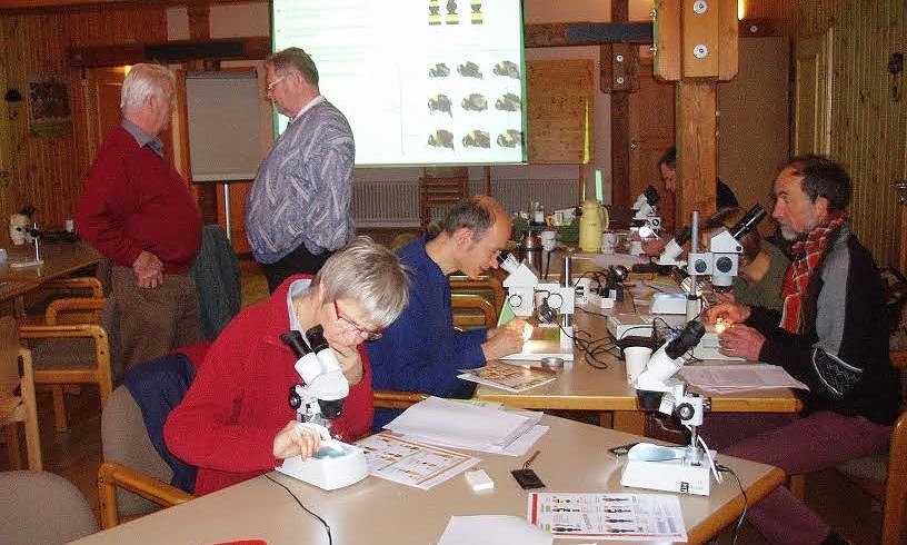 Bild: Teilnehmer am Hummelseminar