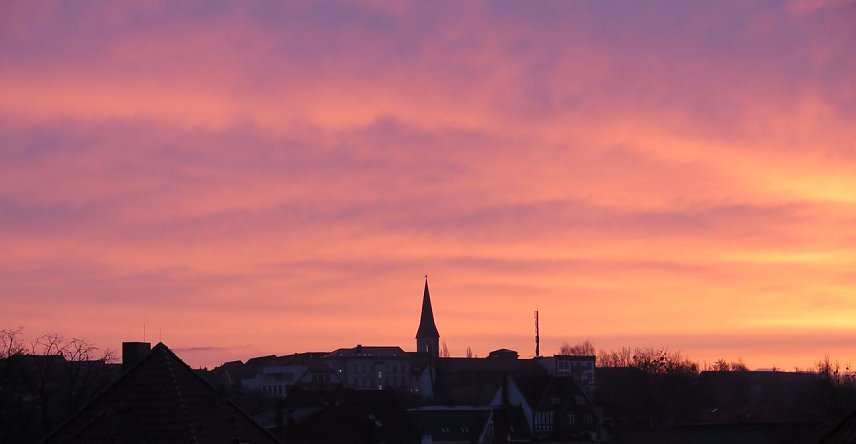 Bild: Aufgegangen