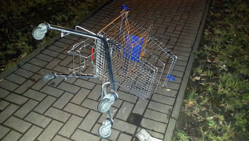 Bild: Einkaufswagen