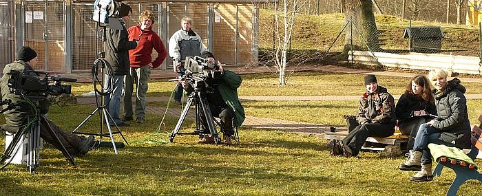 Bild: Bei der Arbeit
