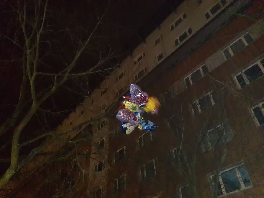 Bild: Vom Winde verweht in Nordhausen