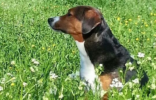 Bild: Sally