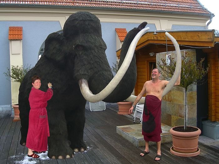 Bild: Mammut im Badehaus