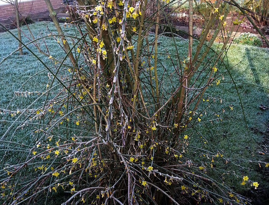 Bild: Ist denn schon Fr&uuml;hling?