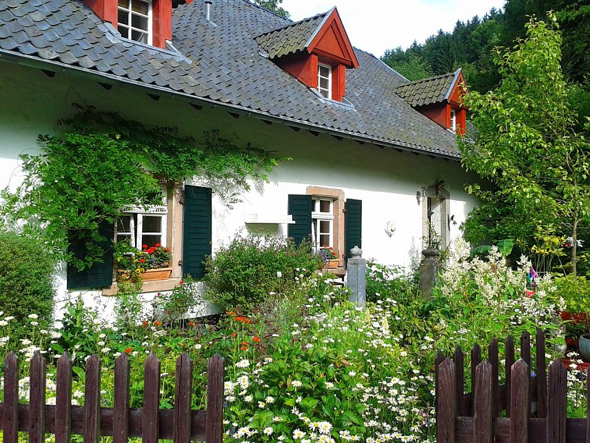 Bild: G&auml;rten in Nordhausen und Umgebung gesucht