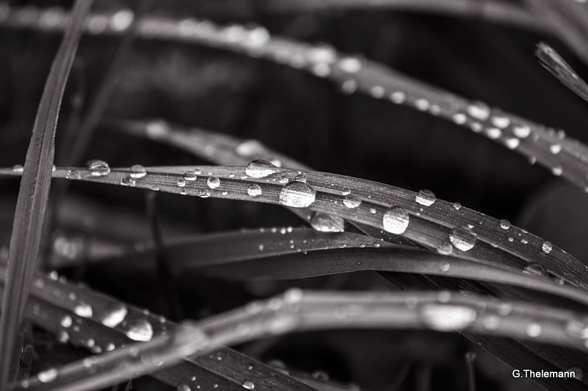 Bild: Wetterbild