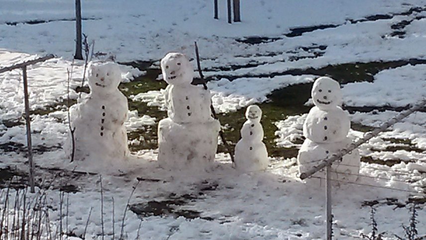 Bild: Schneemann-Familie