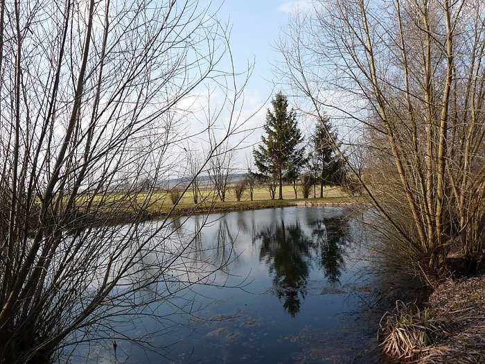 Bild: Dorfteich Gundersleben