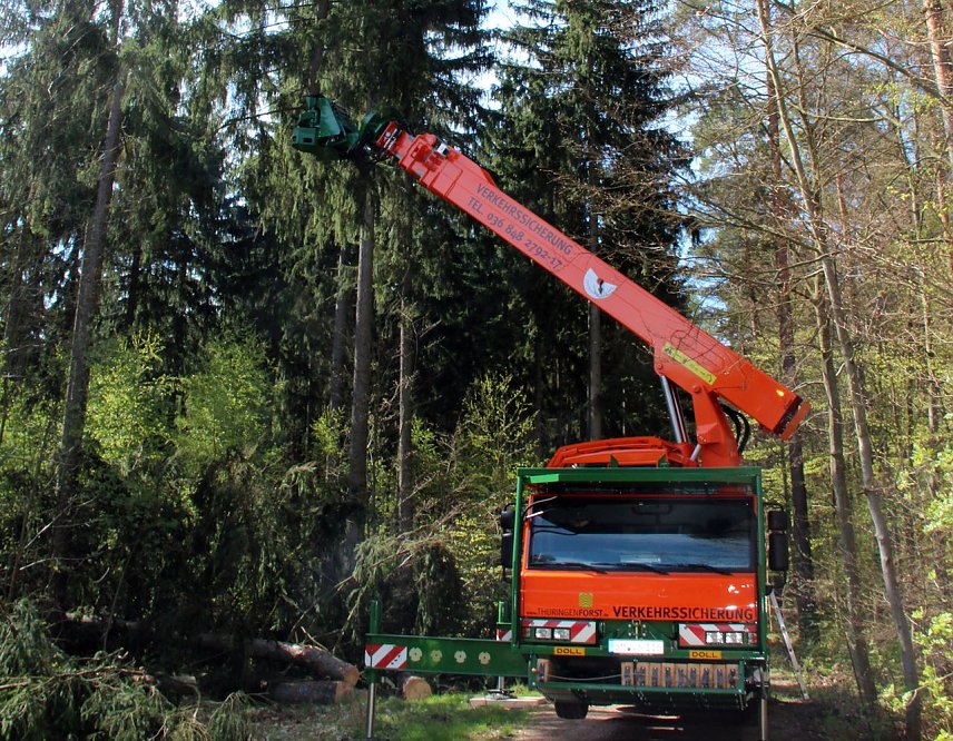 Bild: Doll Tree Trimmer im Einsatz