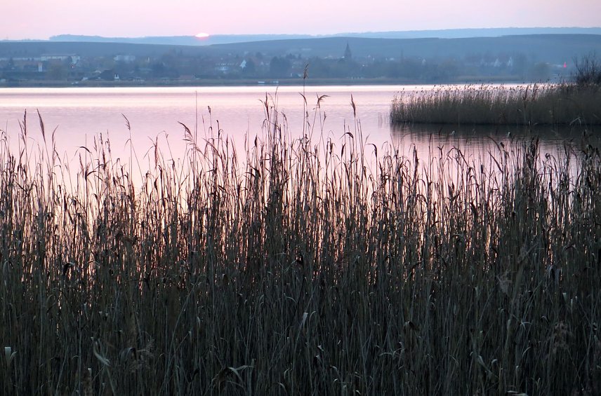 Bild: Sonnenuntergang am S&uuml;&szlig;en See bei Seeburg