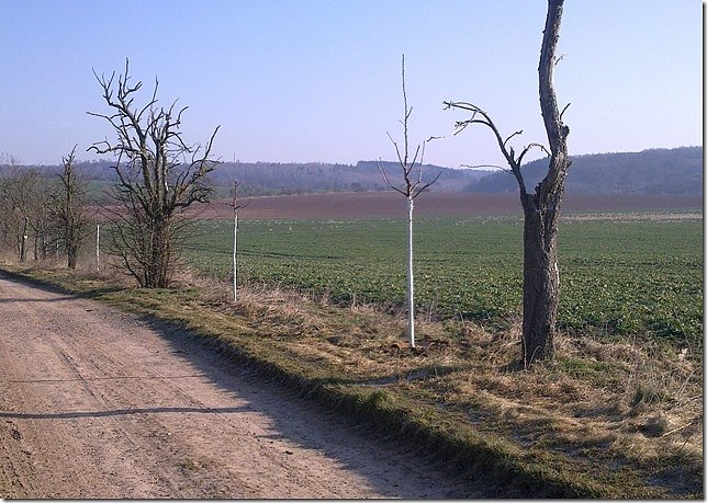 Bild: Haltepf&auml;hle fehlen