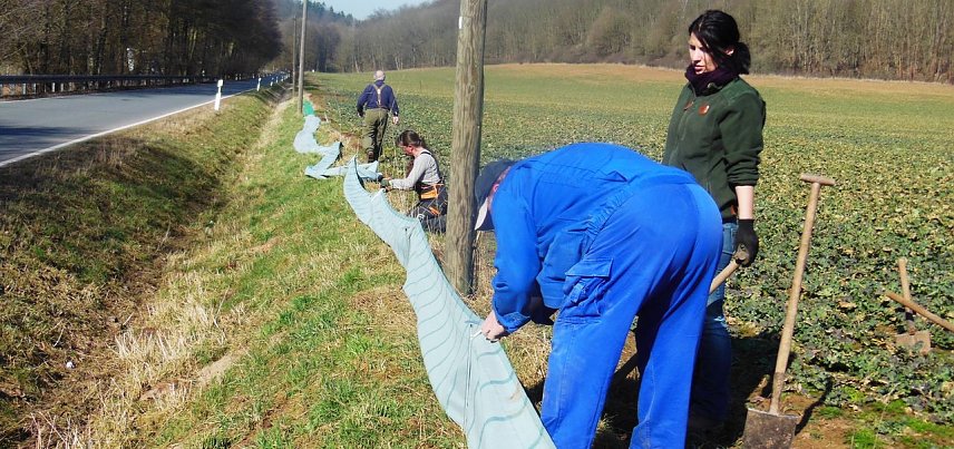Bild: Kr&ouml;tenfangzaun aufgestellt
